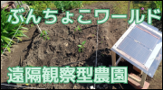 リンク画像